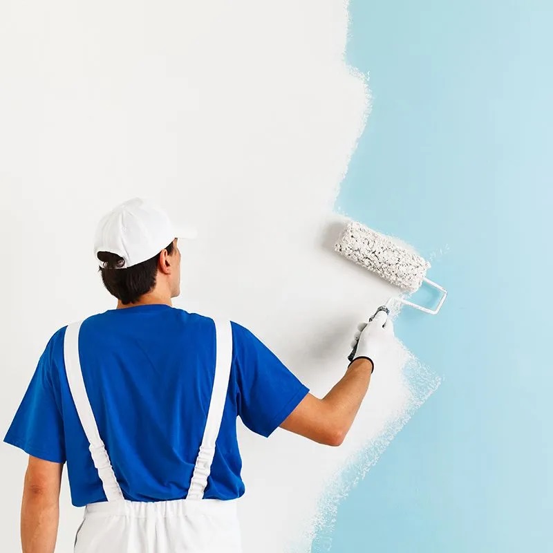 Çamlı Köy iç cephe boyama